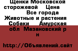 Щенки Московской сторожевой  › Цена ­ 25 000 - Все города Животные и растения » Собаки   . Амурская обл.,Мазановский р-н